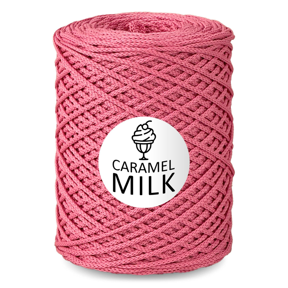Шнур Caramel Milk, 3мм, 300м, 100% полиэфир (1 шт.)