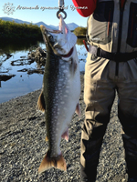 Озеро Майниц - жемчужина Чукотки (август - сентябрь)