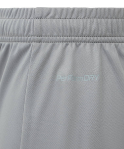 Шорты игровые DIVISION PerFormDRY Union Shorts, серый