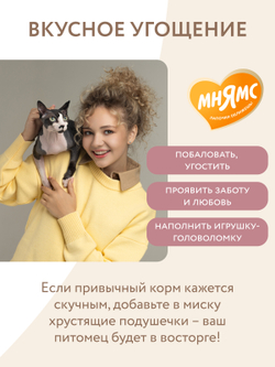 Лакомство Мнямс "Здоровые зубы" хрустящие подушечки для кошек с цыпленком 60 г.