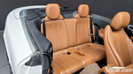 Mercedes-Benz E-Class W213 E220d Cabriolet (10.2019)
