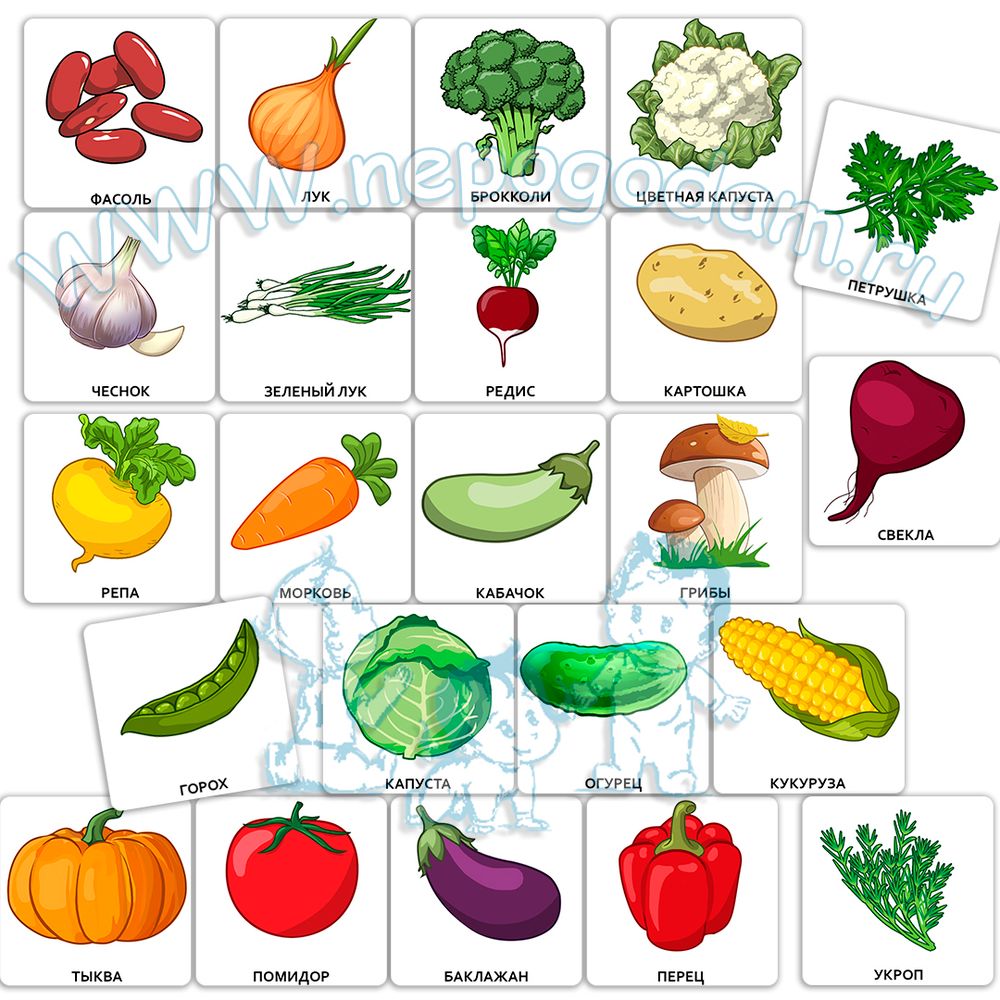 PECS набор карточек – Овощи