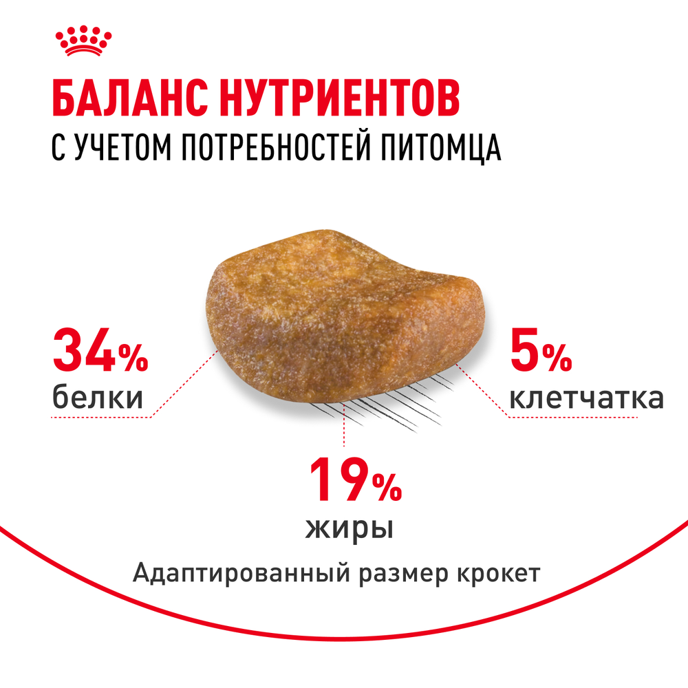 Royal Canin British Shorthair Adult (БРИТАНСКАЯ КОРОТКОШЕРСТНАЯ ЭДАЛТ) Корм сухой для взрослых британских кошек 10кг