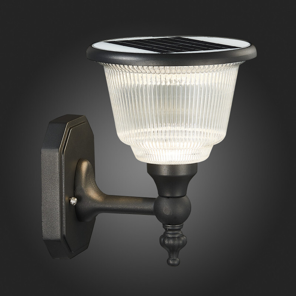 Уличный настенный светильник ST-Luce SL9502.401.01