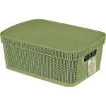 Корзина для хранения Keeplex Green Republic с крышкой 11л 38х14,3см полынь