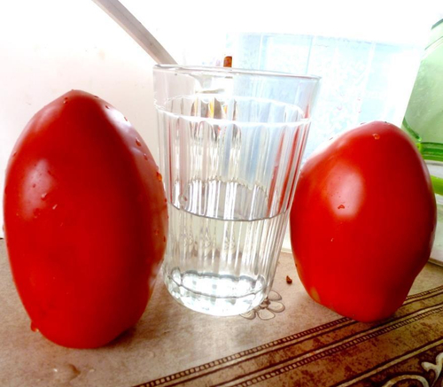 Помидоры - Amos Coli - Амос Коли