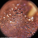 Микроскоп Levenhuk Rainbow 50L PLUS Лунный камень