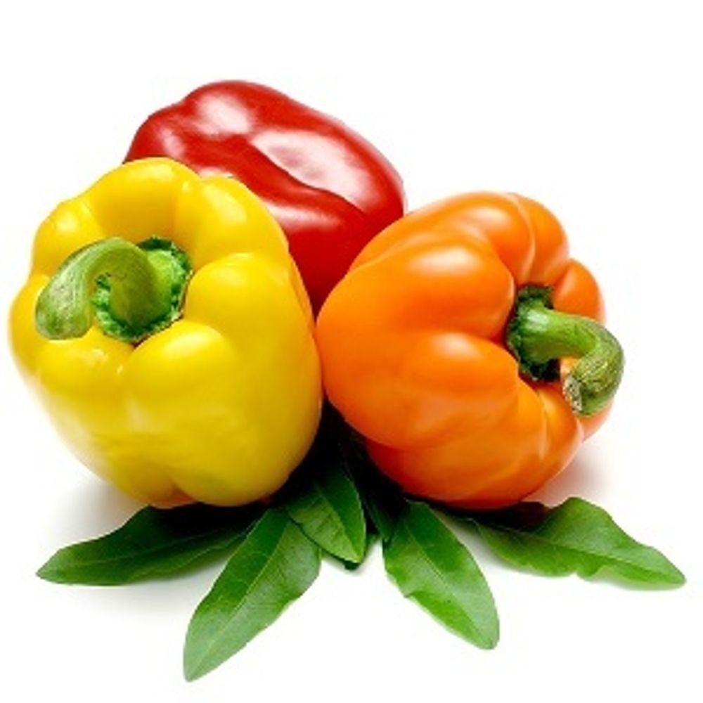 ГАЛЬБАНУМА ПИРАЗИН 0.1% в ДПГ (GALBANUM PYRAZINE Ventós) – купить за ...