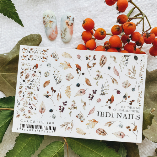 IBDI слайдер дизайн COLORFUL №189