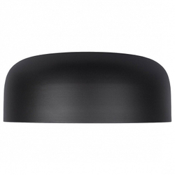 Накладной светильник Loft it 10201/480 Black