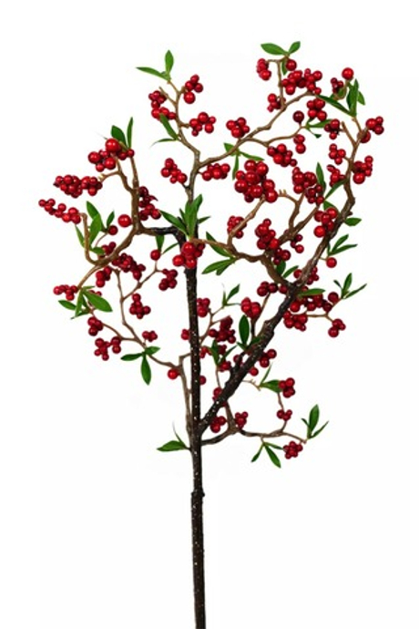 Ветка ягод широкая