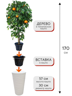 Искусственное дерево Мандарин 170 см в высоком круглом белом кашпо