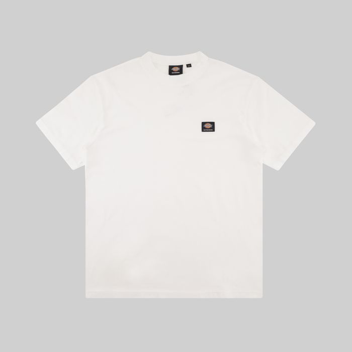 Футболка мужская Dickies Skateboarding Mount Vista Shirt артикул:WSSK6_white - купить в магазине Дайс