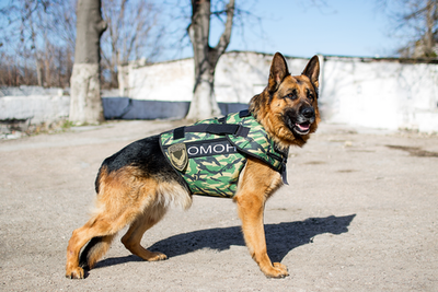 Жилет защитный кинологический «НОРД-1»