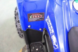 Электроквадроцикл Green Camel Гоби K24 (36V 800W R6 Цепь)