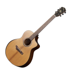 Акустическая гитара Gopherwood i265RC