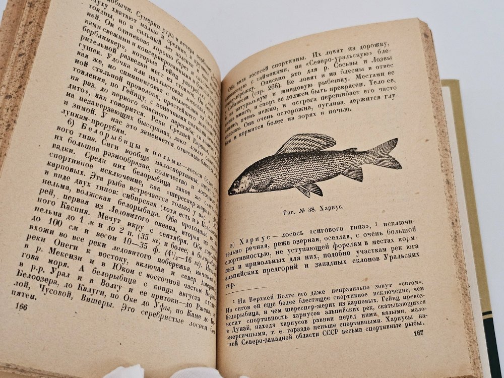 "Рыболовный спорт". Карла Гейнца. 1931 г.