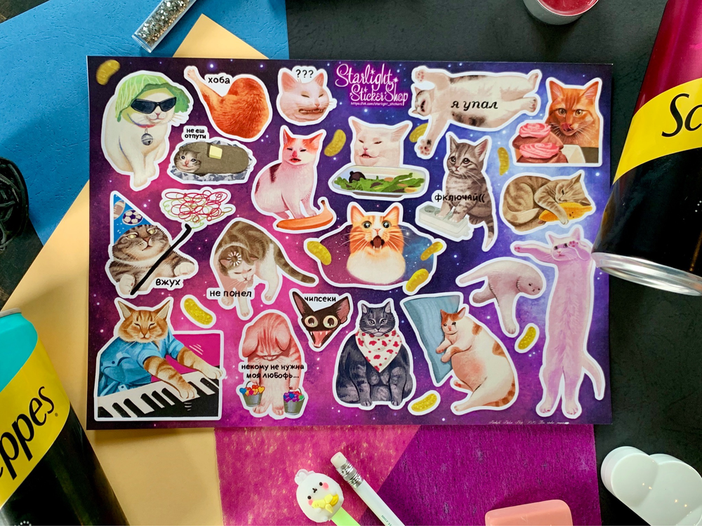 PACK CAT MEMES