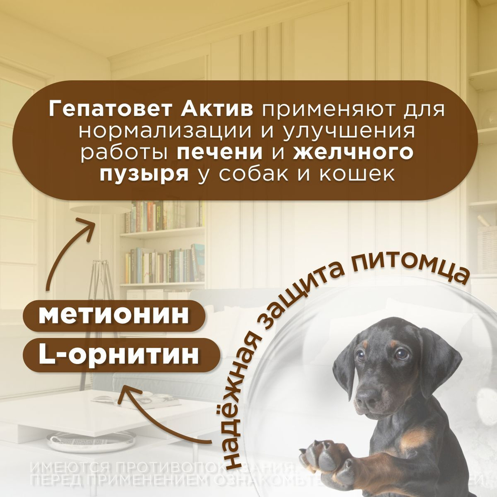 Apicenna Гепатовет Актив для собак и кошек, суспензия для нормализации и улучшения работы печени, 50 мл. Метионин.