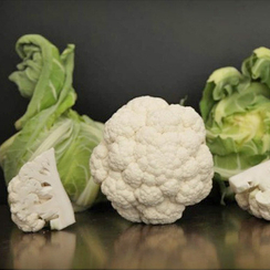 Аванто F1 семена капусты белокочанной (Sakata / Саката)