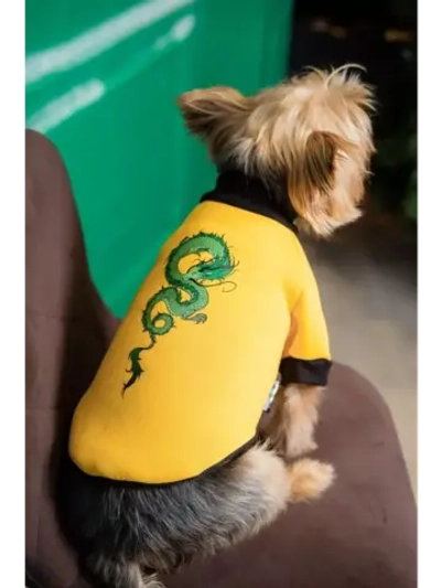 Толстовка для собак и кошек