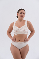 1107 бюстгальтер "Пергамент"