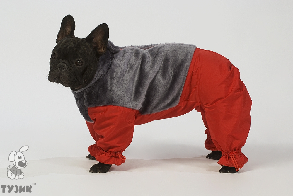 ТУЗИК Комбинезон для собак "Зима-1"