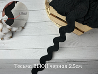 Тесьма ВЬЮН 2,5см черный