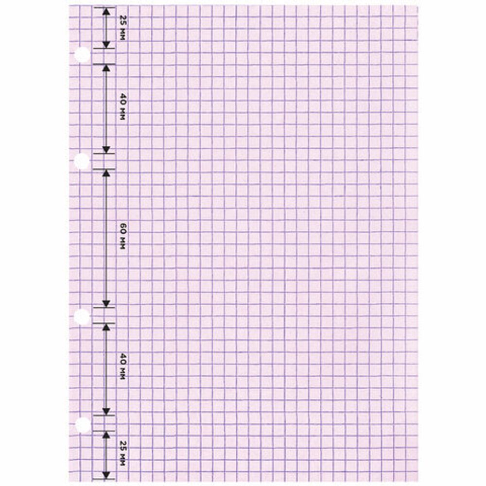 Сменный блок для тетради на кольцах, А5, 120 л., BRAUBERG, 4 цвета по 30 листов, 404614