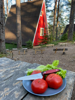 🏆Два Кухонных ножа Alexander M AUS-8 Red G10