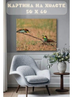 Картина на стену 40 X 50 Птицы
