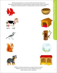 Развивающий альбом 2+. Пиши - стирай