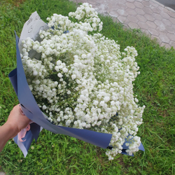 Монобукет из Гипсофилы "Облачко"