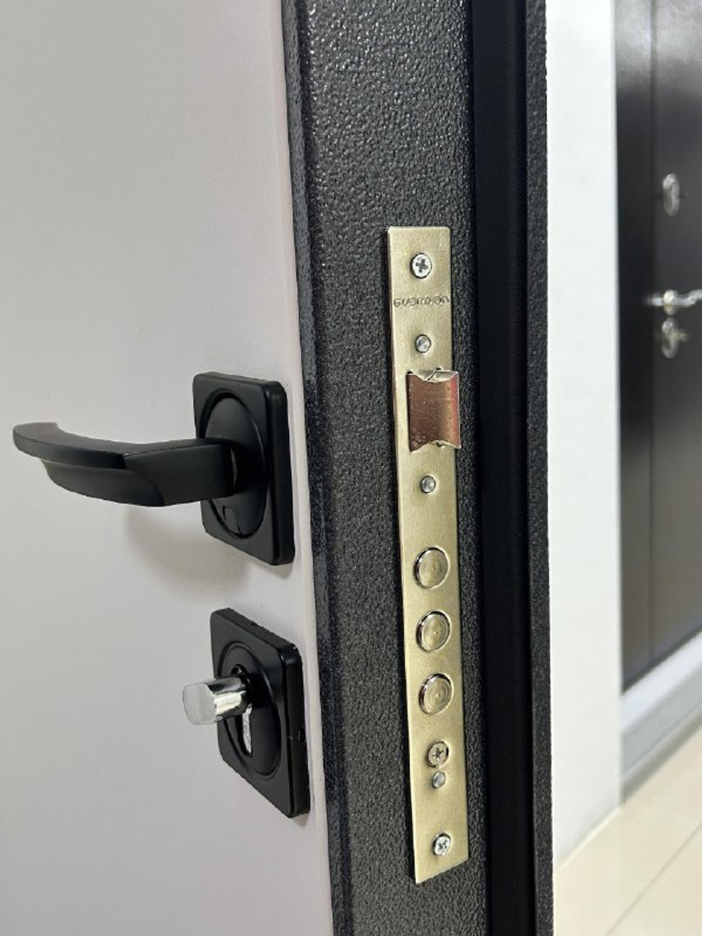 Дверь входная Вена