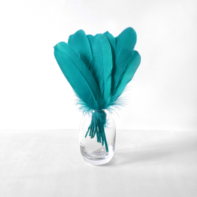 Гусиные перья аквамарин ровные 20шт.