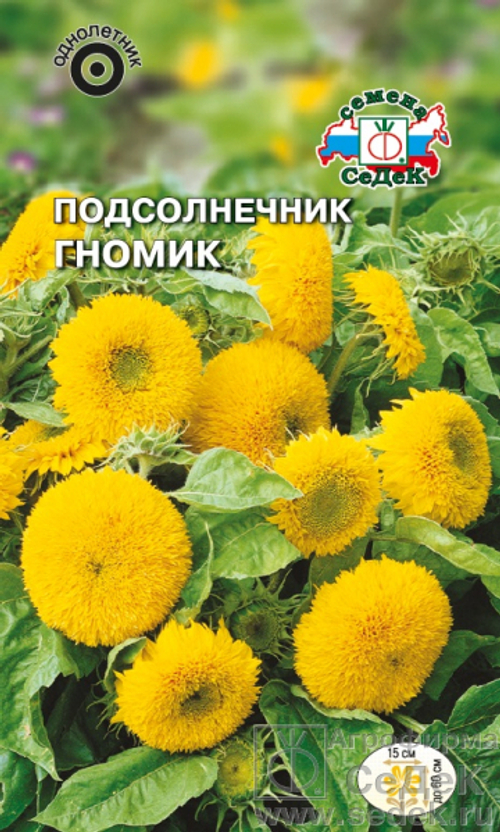 Подсолнечник Гномик