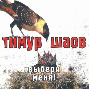 Тимур Шаов / Выбери Меня! (CD)