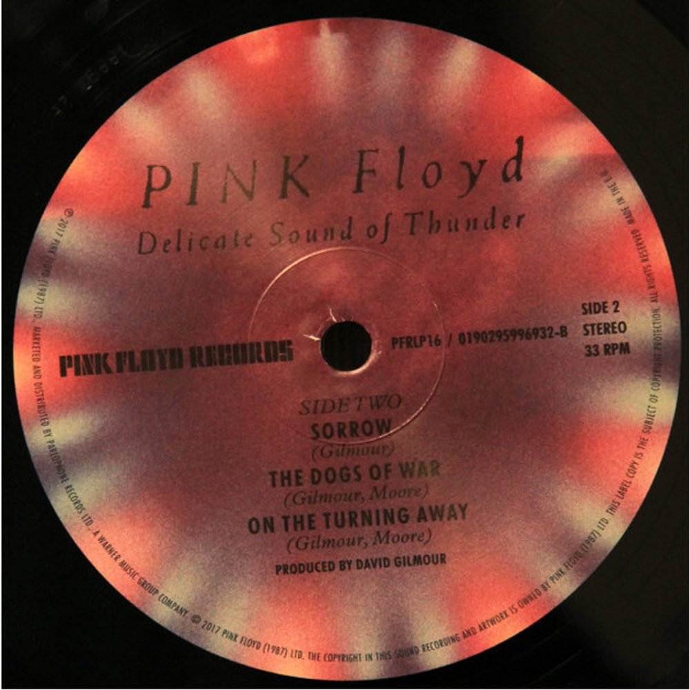 Pink Floyd / Delicate Sound Of Thunder (2LP)