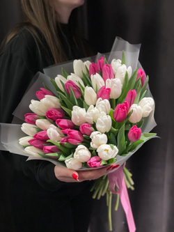 35 бело-розовых тюльпанов