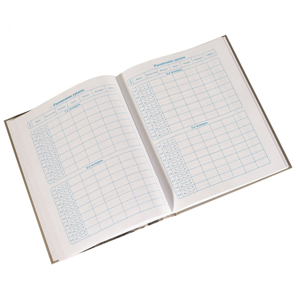 Дневник школьный Alingar 1-11 кл., 40л., 7БЦ, глянцевая ламинация, 17,0 см. * 21,6 см, "Bar code"