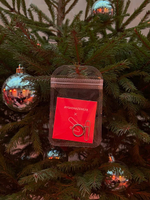 СКРЕПКА earring