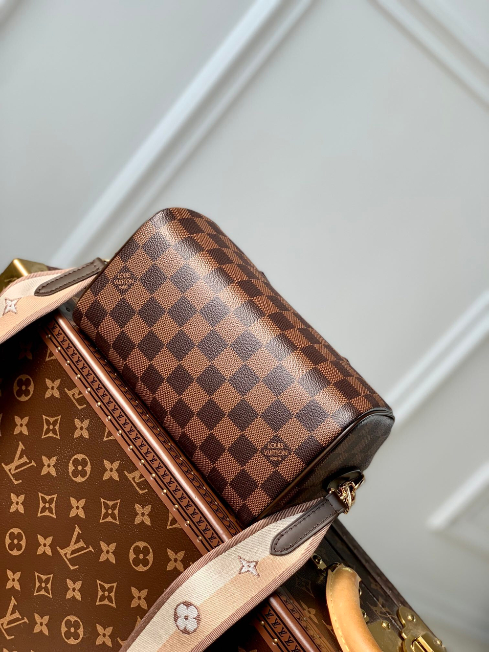 Louis Vuitton Speedy 20