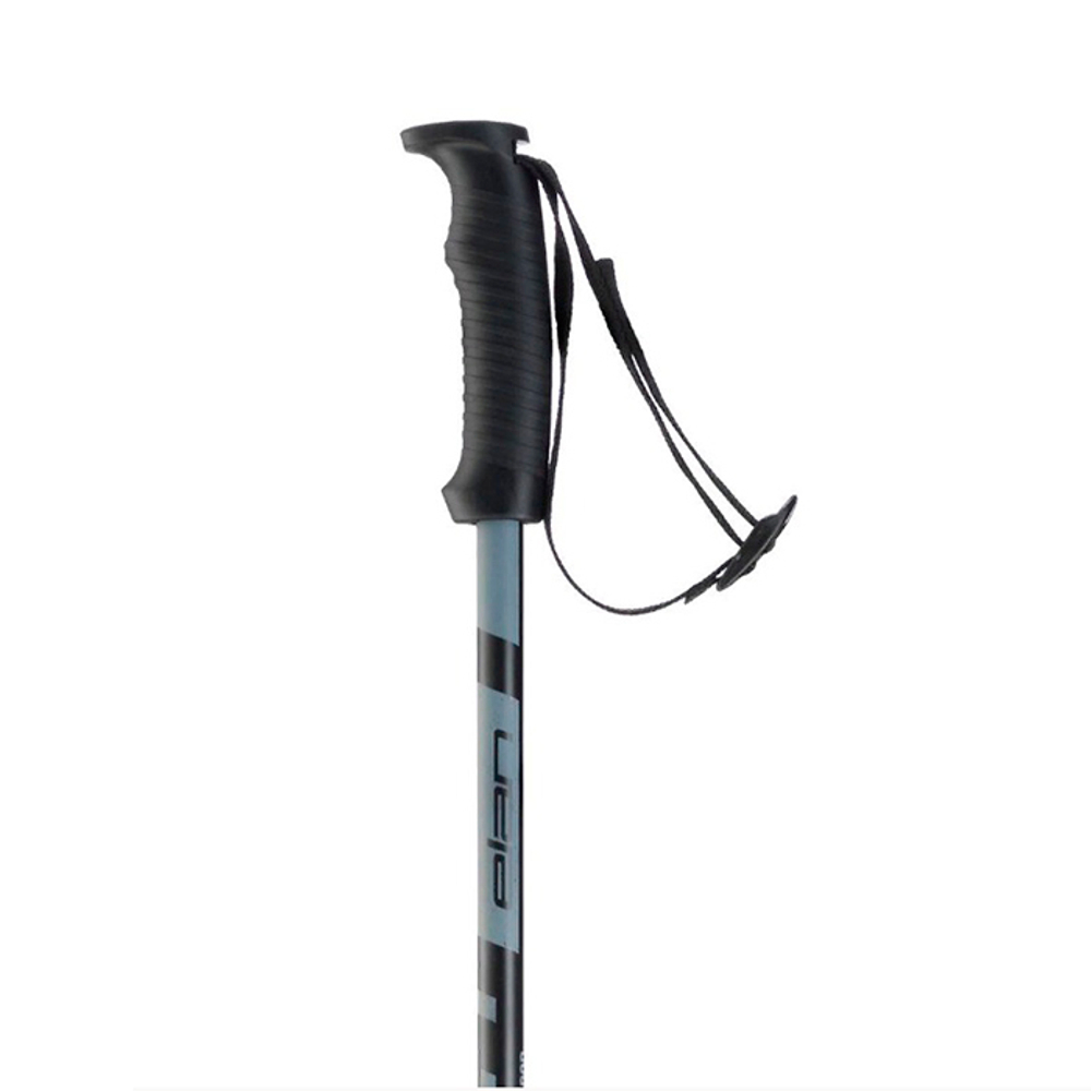 Горнолыжные палки ELAN 2020-21 HotRod Black (см:135)