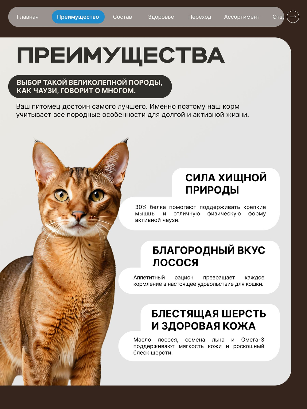 Корм сухой для взрослых кошек породы Чаузи, с лососем, 5 кг, QUATTRO