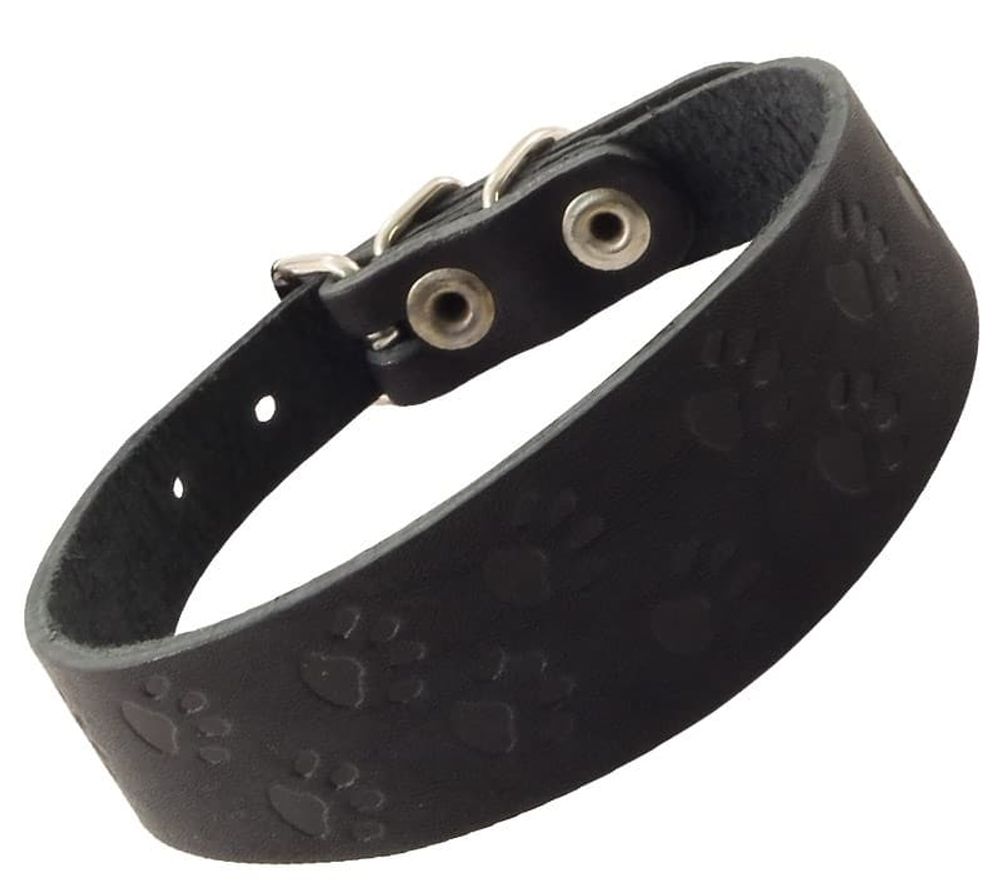 Ошейник-мини кожаный «Такса» c тиснением, 35х360мм (Гамма) Ошейник-мини кожаный «Такса» c тиснением, 35х360мм (Гамма)