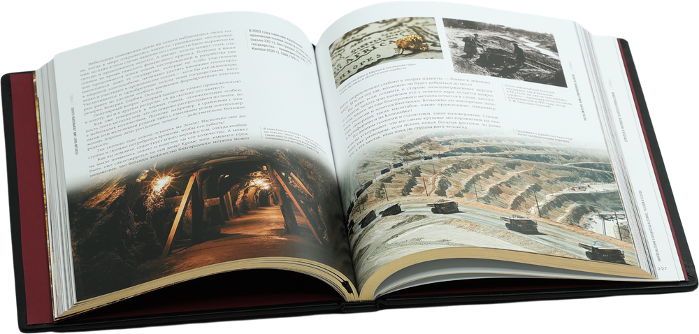 Золото. Иллюстрированная энциклопедия. От первых золотодобытчиков до современных инвесторов