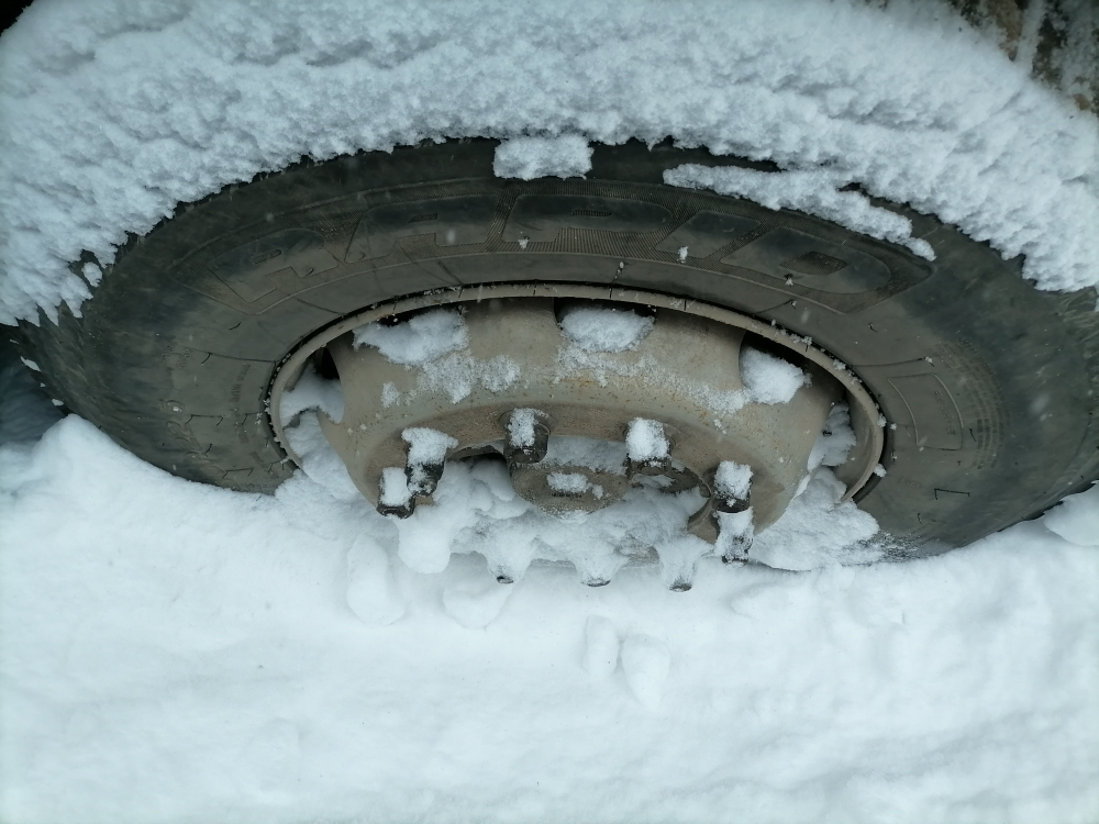 Shacman (Shaanxi) SX* 8x4 Самосвал SX33186V366 (Дизельный, 11,6 л, 423 л.с., МТ)