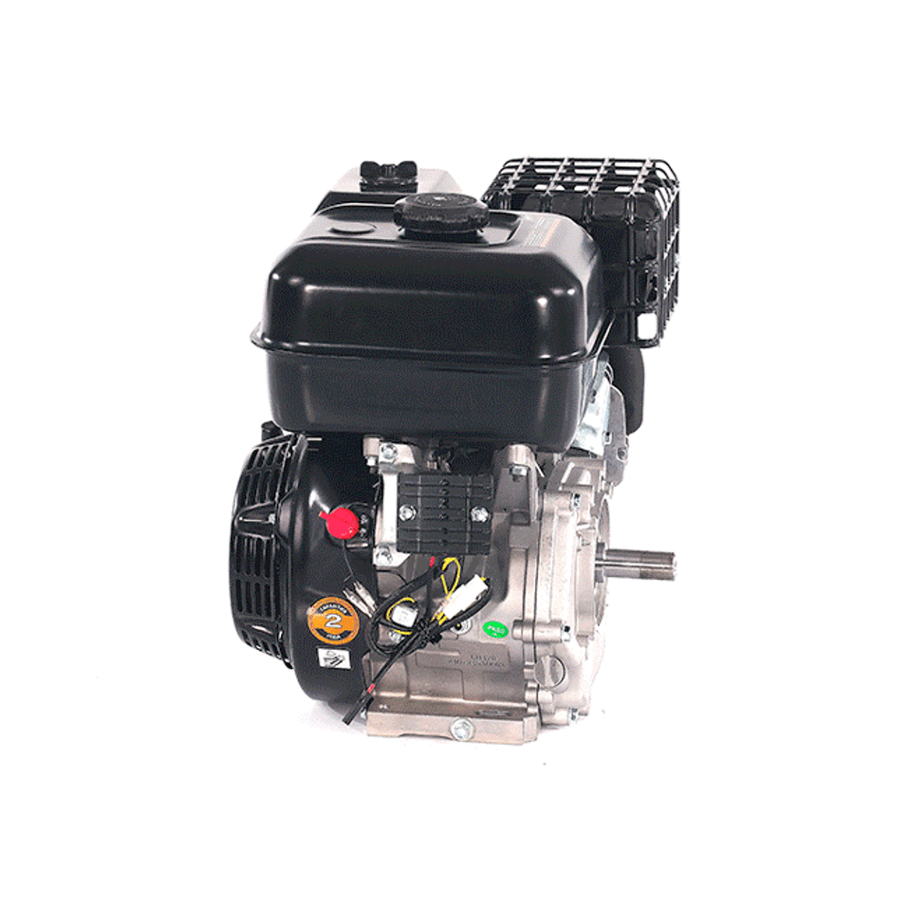 Двигатель бензиновый EVOline GB 420