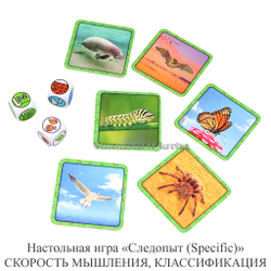 Настольная игра «Следопыт (Specific)» СКОРОСТЬ МЫШЛЕНИЯ, КЛАССИФИКАЦИЯ