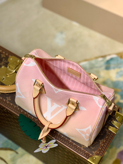 Louis Vuitton Speedy 25